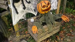 Halloweenfeestje!
