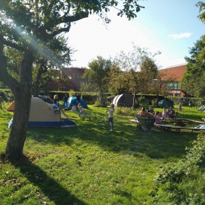 In de boomgaard kun je kamperen Boerderij