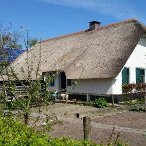 Moestuin en winkel Boerderij