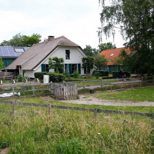 Weilandjes voor de boerderij Boerderij