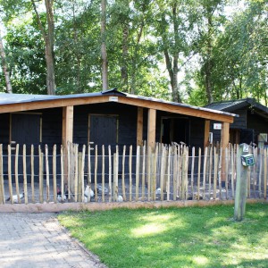 Verblijf van varken en kippen Boerderij