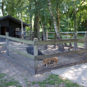 Dierenverblijf Boerderij