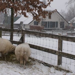 Boerderij met weiland in de sneeuw