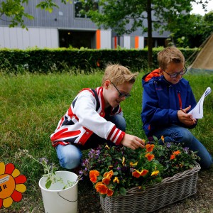 Leren over de natuur Educatie