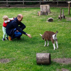 Kennimaken met dieren