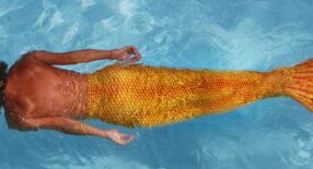 zeemeerman zwemt onder water met een oranje zwemstaart